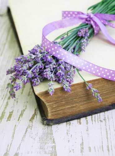 Lavendelstrauß auf altem Buch